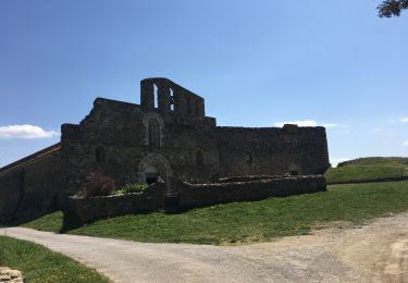 Trail Walking Arboussols - Arboussols - Marcevol  - Photo