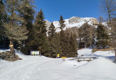 Trail Snowshoes Saint-André - Maurienne - saint André - vallon de Polsey - Photo