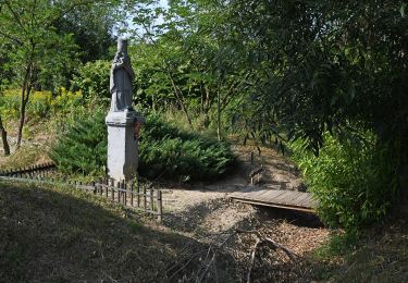 Randonnée A pied Kisszékely - Kökény körút - Photo