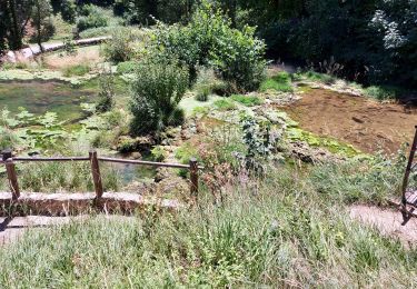 Tour Wandern Baume-les-Messieurs - La cascade des Tufs - Photo