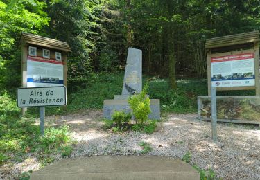 Trail Walking Abbans-Dessous - Château d'Abbans - Photo