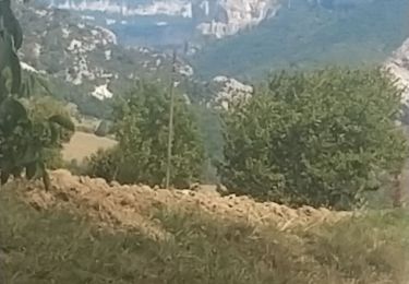 Excursión Senderismo Auberives-en-Royans - Gorges du Tarze - Photo