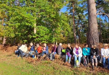 Randonnée Marche Val-de-la-Haye - Val de la Haye du 10/11/2022 - Photo