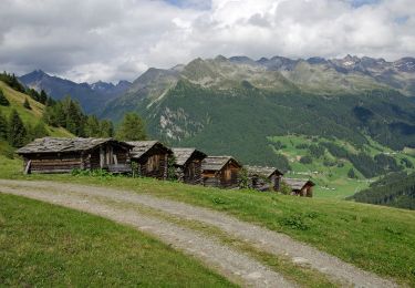 Tour Zu Fuß Sand in Taufers - Reiner Höhenweg - Photo