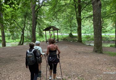 Trail Walking Sainte-Ode - Lavacherie - Photo