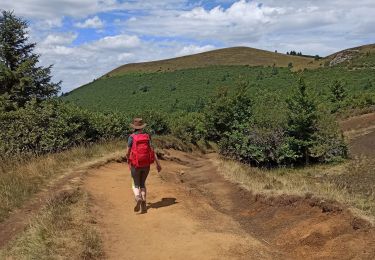 Tour Wandern Orcines - J6 : Orcines/la baraque - puy de Dôme - Beauregard - Photo