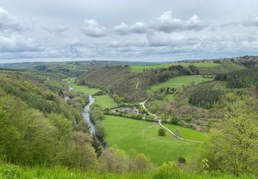 Trail Walking La Roche-en-Ardenne - Beausaint - Photo