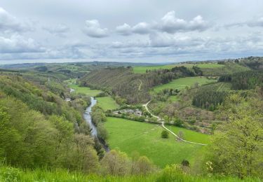 Randonnée Marche La Roche-en-Ardenne - Beausaint - Photo