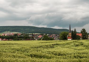 Trail On foot Litzendorf - Wanderweg Hügelgräber - Sängerehrenmal - Photo