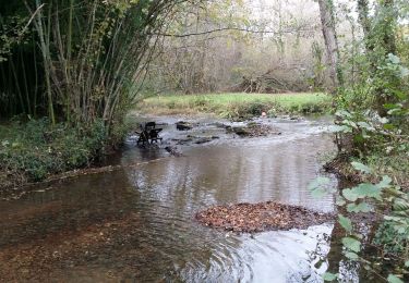 Excursión Senderismo Les Pins - La randonnée des moulins  - Photo