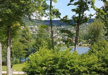 Trail Walking Gérardmer - Gérardmer - cascade de Mérelle puis tour Mérelle - Photo