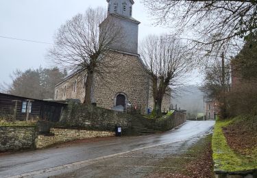 Excursión Senderismo Nassogne - Masbourg 250124 - Photo