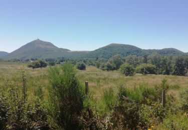 Trail Walking Orcines - TERNANT. CHANAT - Photo