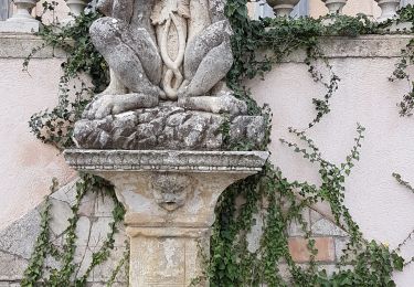 Tocht Stappen Les Arcs-sur-Argens - LES ARCS - DE SAINTE ROSELINE A VALBOURGES - Photo