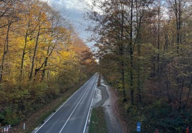 Randonnée Marche Bierbeek - Meerdael Nord  - Photo