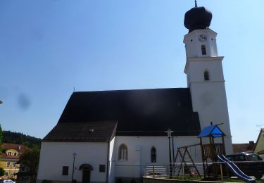 Randonnée A pied Enzenkirchen - Historischer Wanderweg Graf Enzo - Photo