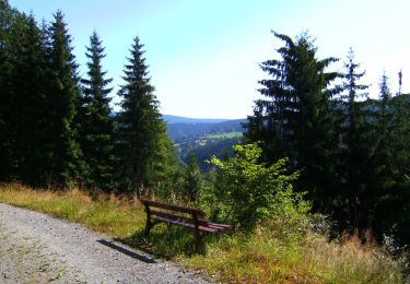 Randonnée A pied Warmensteinach - Warmensteinach Rundwanderweg Nr. 10 - Photo