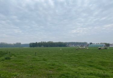 Trail Walking Zoutleeuw - Zoutleeuw 16 km - Photo
