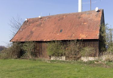 Tour Zu Fuß Nottuln - Longinusturm Rundweg A1 - Photo