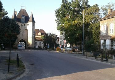 Randonnée Vélo de route Paron - 050 SE85 Les Brûleries # Les Sièges-01 - Photo