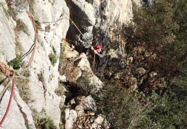 Trail Walking La Valette-du-Var - le Coudon - Photo