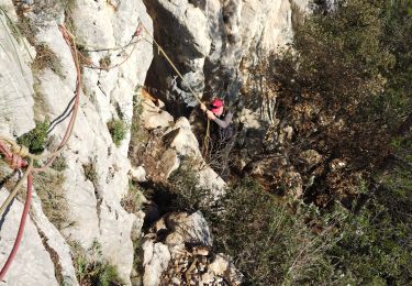 Tour Wandern La Valette-du-Var - le Coudon - Photo