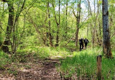 Randonnée Marche Milly-la-Forêt - Boucle Milly la Forêt - Vaudoué via les 3 pignons et les bords de l'école - Photo