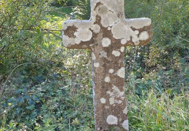 Trail Walking Mounes-Prohencoux - Mounes le circuit du geant - Photo