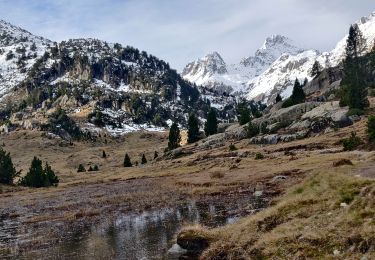 Tour Wandern Cauterets - 2022-12-31 Marche Refuge du Clot vers Refuge Wallon - Photo
