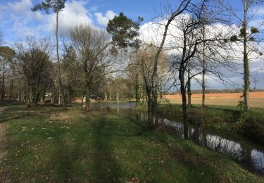 Tour Wandern Horsarrieu - Boucle d’Horsarrieu - Photo