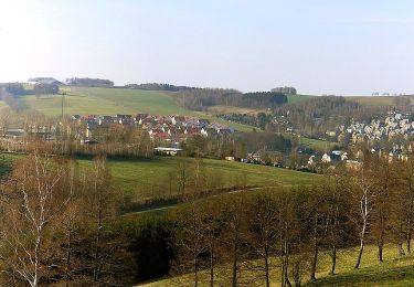 Trail On foot Burkhardtsdorf - Rundweg Burkhardtsdorf - Photo