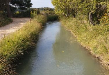 Trail Walking Mouriès - mouries 2 - Photo