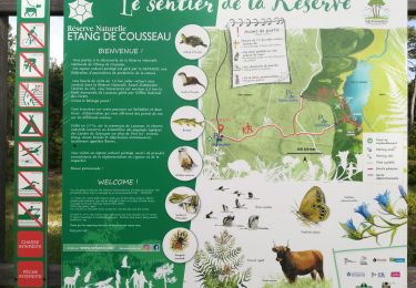 Trail Walking Lacanau - Sentier de la Réserve Naturelle de l'Étang de Cousseau - Photo