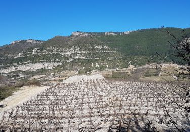 Tour Wandern Pégairolles-de-l'Escalette - Les terrasses de Pégairolles - Photo