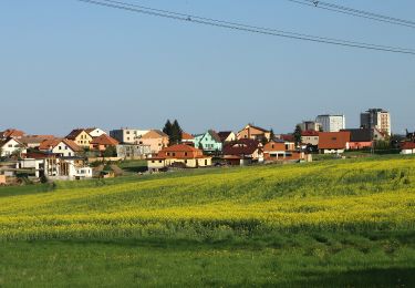 Percorso A piedi Stará Huť - NS Dobří(š) v poznání - lesní okruh - Photo