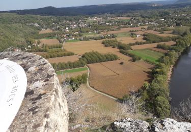 Percorso Mountainbike Creysse - creysse pinsac - Photo