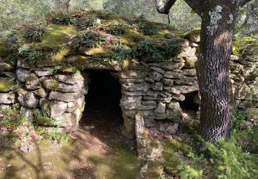 Tocht Stappen Chamaret - Borries de chamaret  - Photo