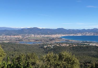 Tocht Stappen Roquebrune-sur-Argens - La gallard - Photo