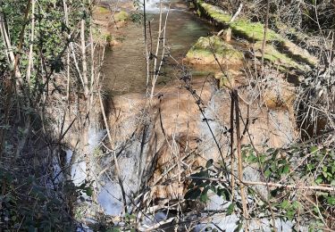 Trail Walking Virieu-le-Grand - cascade de Clairefontaine - Photo