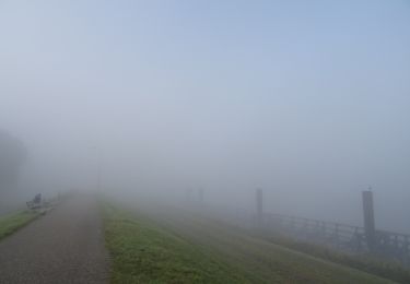 Excursión A pie Zwolle - Rondje Zwolle - Photo