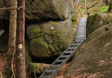 Percorso A piedi Raspenava - NS Oldřichovské háje a skály - Photo