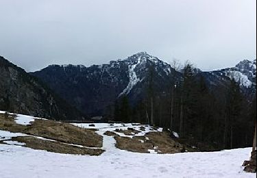 Randonnée A pied Tarvisio - Sentiero Carlo Chersi - Photo