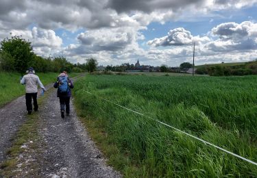 Tour Wandern Philippeville - Roly _ RD _ la petite Suisse depuis Roly - Photo