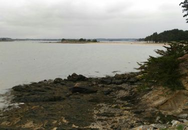 Tocht Stappen Île-d'Arz - Tour de l'ïle d'Arz - Photo