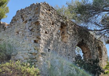 Tour Wandern Allauch - les Maurins le vallon de Loulle - Photo