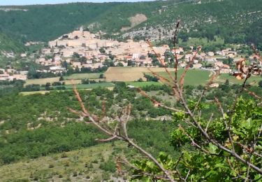 Tocht Stappen Banon - Autour du hameau du Largue - Photo