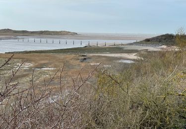 Tour Wandern Sluis - Cadzand1 - Photo