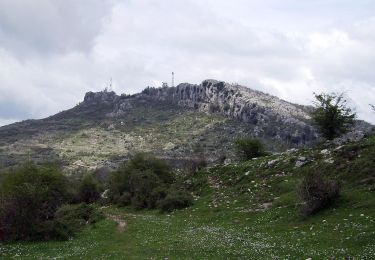 Trail On foot Poli - Sentiero CAI 514 Poli - Monte Guadagnolo - Photo