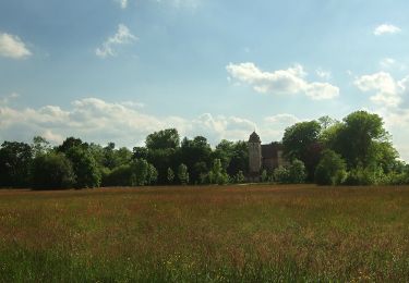 Percorso A piedi Gunzenhausen - Alemannenweg - Photo