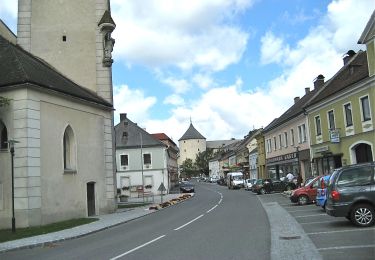 Excursión A pie Gemeinde Ottenschlag - Steinwandweg 32 - Photo